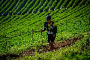 BIB: 
                            <button type="button" onclick="openModal(19161115)" class="btn btn-primary btn-sm float-right btn-popup" data-toggle="modal" data-target=".modal-high-quality">
                        <i class="fas fa-shopping-cart"></i> Add to Cart
                    </button>
                                            <button type="button" onclick="isThisMe(19161115, true)" class="btn btn-success btn-sm float-right btn-popup btn-isme hidden" data-toggle="tooltip" data-placement="bottom" title="นี่คือรูปของคุณใช่ไหม คลิกที่นี่เพื่อเอาเข้าอัลบั้ม">
                        <i class="fas fa-plus"></i> Add to album
                    </button>
                    <button type="button" onclick="isThisMe(19161115, false)" class="btn btn-warning btn-sm float-right btn-popup btn-isnotme hidden">
                        <i class="fas fa-ban"></i> Remove from album
                    </button>